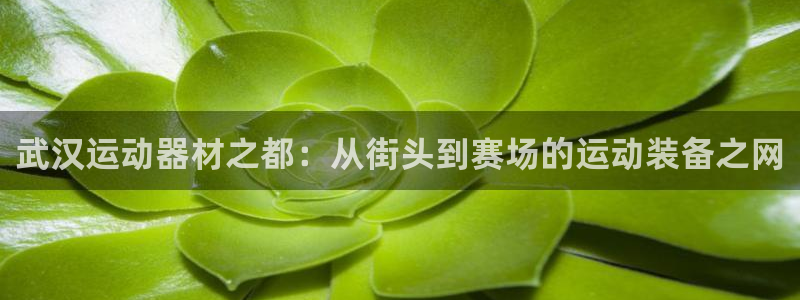 凯捷体育招商电话号码查询：武汉运动器材之都：从街头到赛场的运