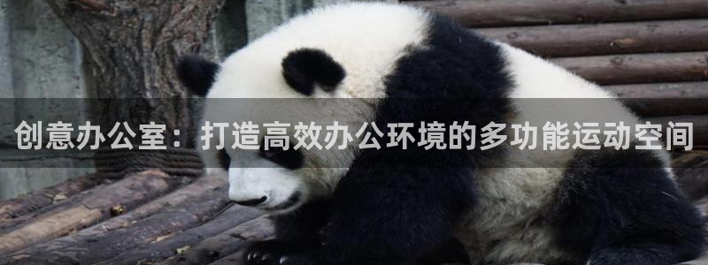 凯捷体育代理：创意办公室：打造高效办公环境的多功能运动空间