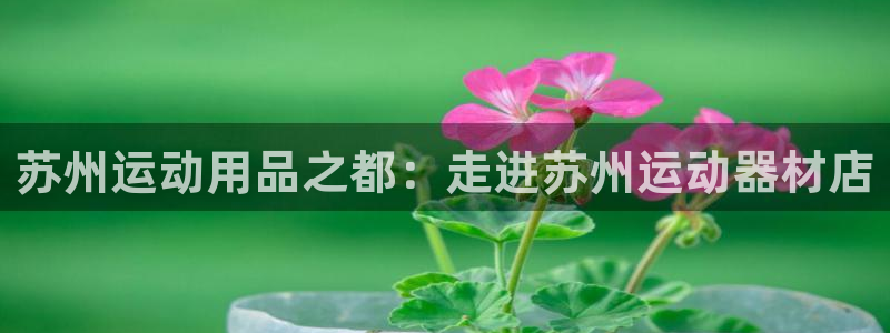 凯捷体育招商电话号码是多少号：苏州运动用品之都：走进苏州运动