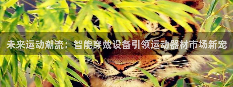凯捷体育开户