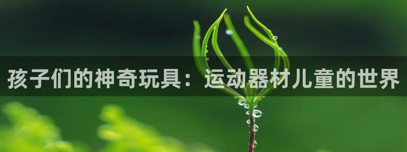 凯捷体育招商电话地址：孩子们的神奇玩具：运动器材儿童