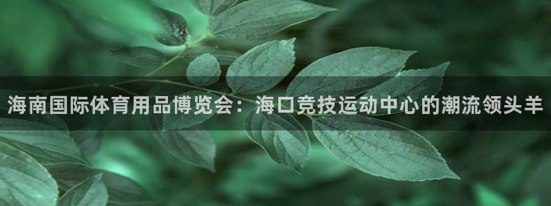 意昂集团官网：海南国际体育用品博览会：海口竞技运动中心的潮流