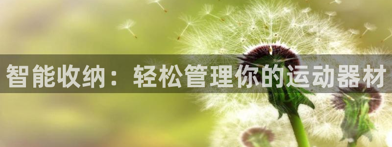意昂集团官网：智能收纳：轻松管理你的运动器材
