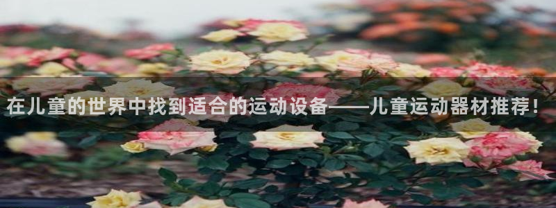 凯捷体育平台是正规平台吗安全吗：在儿童的世界中找到适合的运动