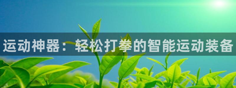 凯捷体育开户：运动神器：轻松打拳的智能运动装备