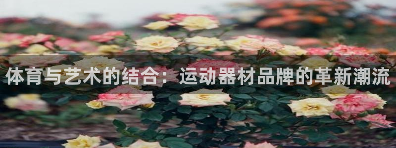 凯捷体育神州：体育与艺术的结合：运动器材品牌的革新潮