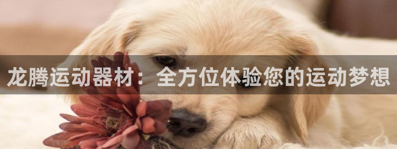 凯捷体育官网：龙腾运动器材：全方位体验您的运动梦想