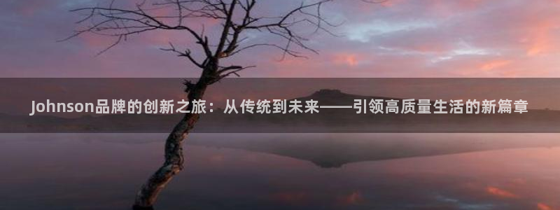 凯捷体育招商电话号码是多少号：Johnson品牌的创