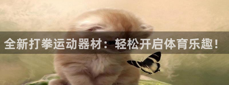 凯捷体育平台假的吗是真的吗吗：全新打拳运动器材：轻松开启体育