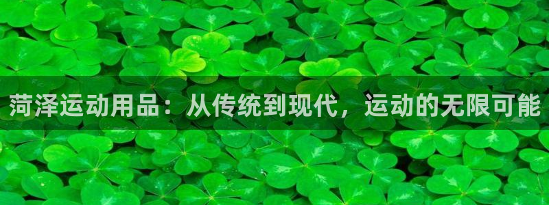 凯捷体育平台注册要钱吗安全吗：菏泽运动用品：从传统到现代，运