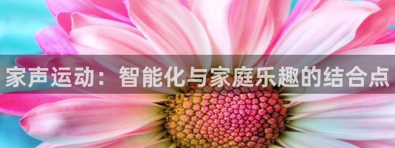 凯捷体育平台注册流程图：家声运动：智能化与家庭乐趣的结合点