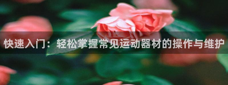 凯捷体育平台注册要钱吗安全吗：快速入门：轻松掌握常见