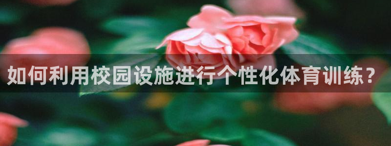 凯捷体育开户：如何利用校园设施进行个性化体育训练？
