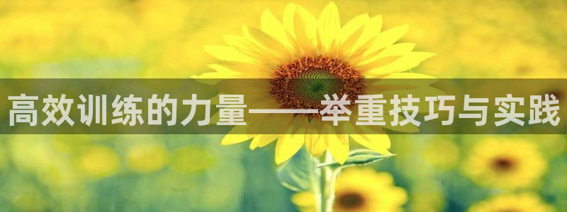 凯捷体育五金厂：高效训练的力量——举重技巧与实践