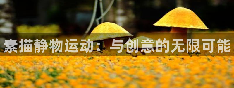 凯捷体育平台注册要钱吗是真的吗：素描静物运动：与创意的无限可