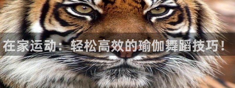 凯捷体育集团E.ON：在家运动：轻松高效的瑜伽舞蹈技巧！