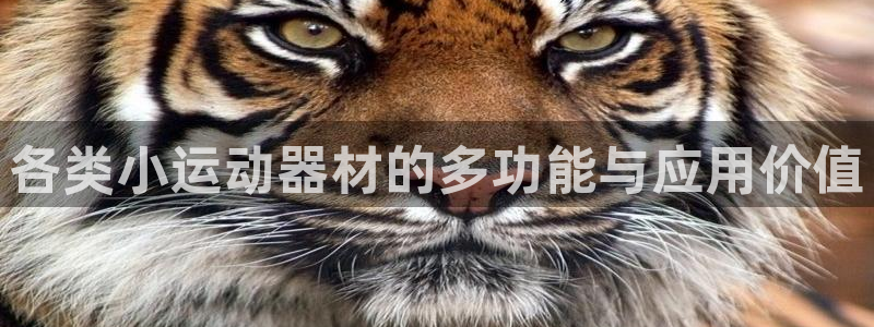 凯捷体育平台注册要钱吗安全吗：各类小运动器材的多功能