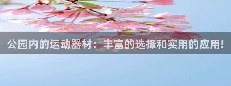 凯捷体育平台是正规平台吗：公园内的运动器材：丰富的选择和实用