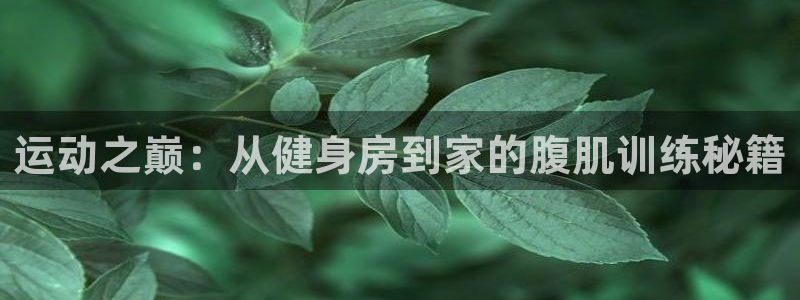 凯捷体育平台是正规平台吗安全吗：运动之巅：从健身房到家的腹肌