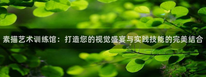 凯捷体育娱乐网站：素描艺术训练馆：打造您的视觉盛宴与实践技能
