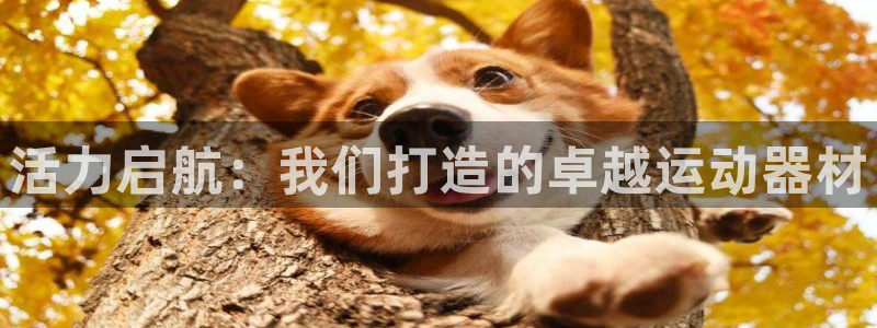 凯捷体育平台注册流程视频：活力启航：我们打造的卓越运动器材