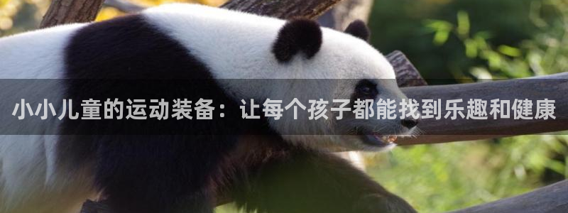 凯捷体育集团官网首页网址：小小儿童的运动装备：让每个孩子都能