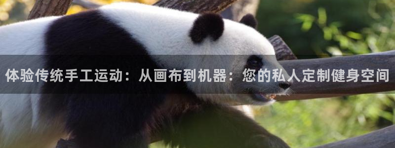 凯捷体育娱乐：体验传统手工运动：从画布到机器：您的私