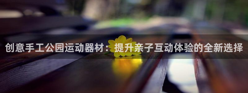 凯捷体育娱乐是那个系列的台子：创意手工公园运动器材：