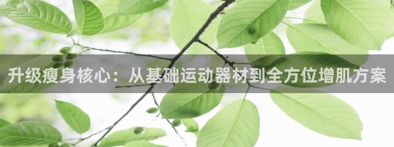 凯捷体育官方客服电话：升级瘦身核心：从基础运动器材到