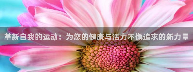 意昂平台体育：革新自我的运动：为您的健康与活力不懈追