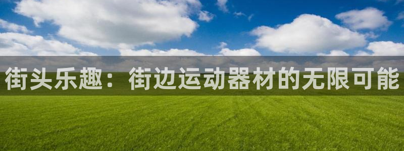 意昂集团官网：街头乐趣：街边运动器材的无限可能