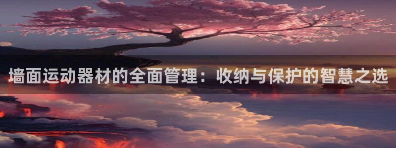 凯捷体育官方：墙面运动器材的全面管理：收纳与保护的智