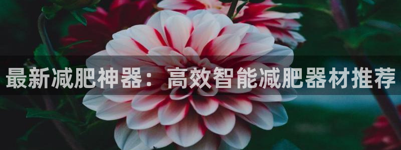 凯捷体育招商电话地址查询：最新减肥神器：高效智能减肥