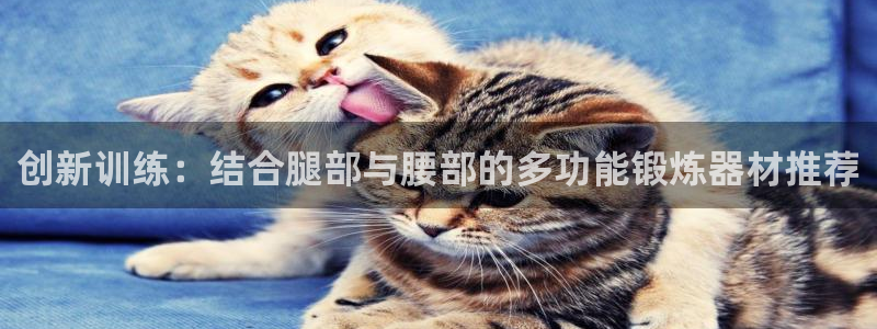 凯捷体育娱乐