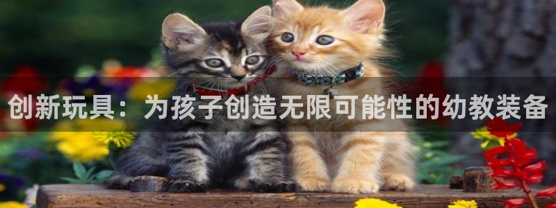 凯捷体育开户