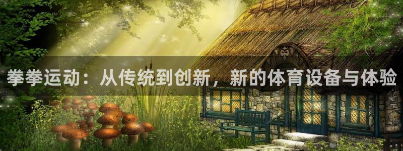 海南凯捷体育发展怎么样：拳拳运动：从传统到创新，新的体育设备