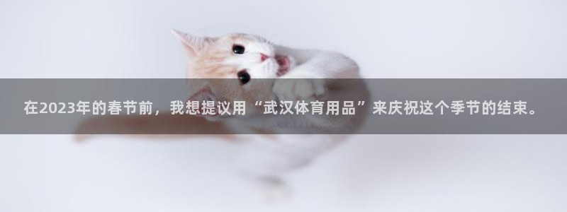 凯捷体育娱乐网站：在2023年的春节前，我想提议用“武汉体育
