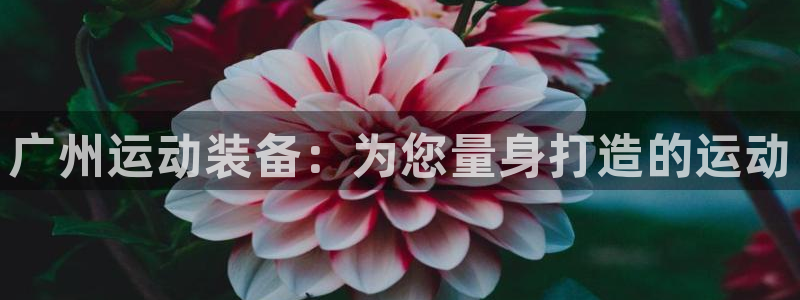 凯捷体育招商电话：广州运动装备：为您量身打造的运动