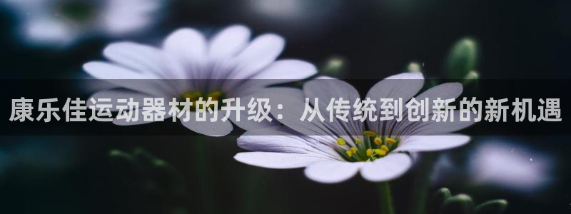凯捷体育集团官网网址：康乐佳运动器材的升级：从传统到创新的新