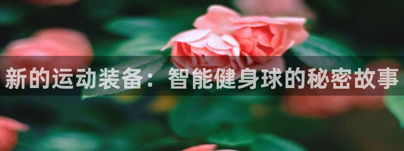 凯捷体育娱乐首页网站大全