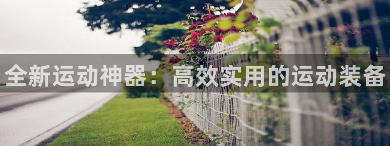 凯捷体育平台注册流程图：全新运动神器：高效实用的运动