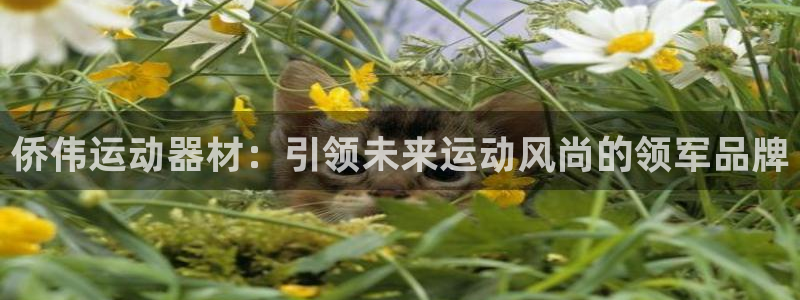 凯捷体育娱乐