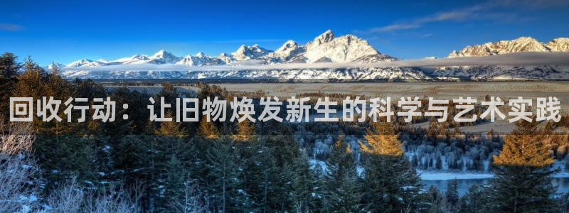 凯捷体育集团logo