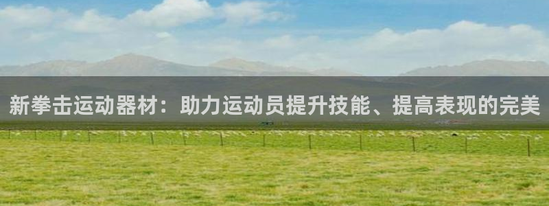 凯捷体育集团logo：新拳击运动器材：助力运动员提升技能、提