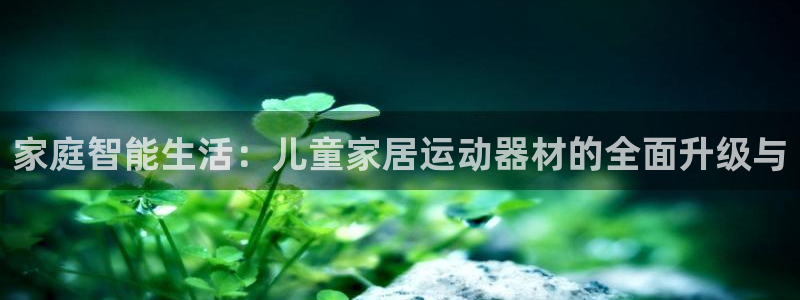 凯捷体育招商电话是多少啊：家庭智能生活：儿童家居运动器材的全