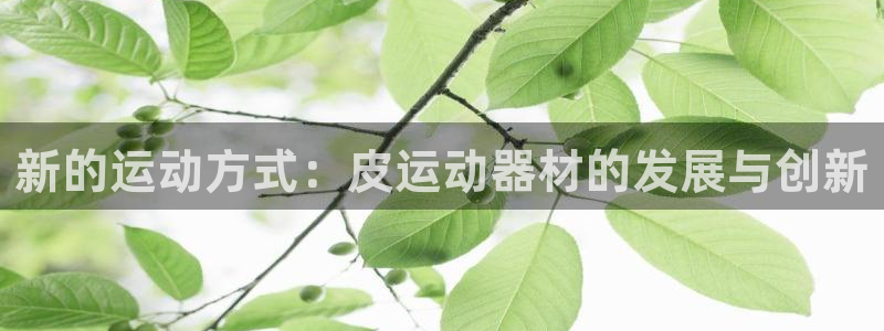凯捷体育平台假的吗是真的吗
