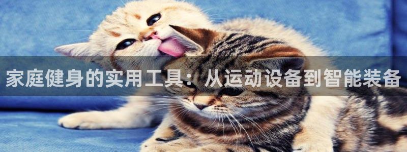凯捷体育软件：家庭健身的实用工具：从运动设备到智能装备
