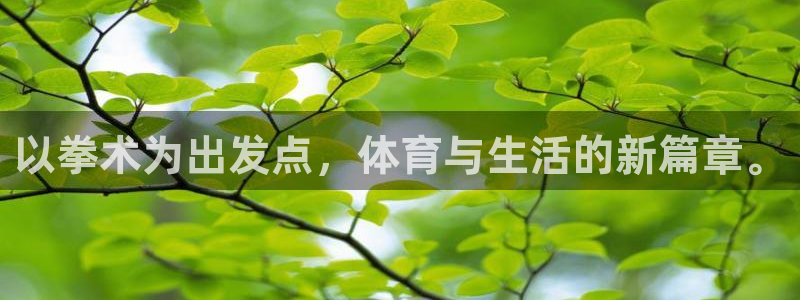 凯捷体育官方客服电话：以拳术为出发点，体育与生活的新篇章。