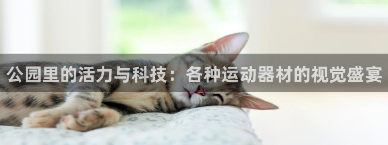 凯捷体育集团：公园里的活力与科技：各种运动器材的视觉盛宴