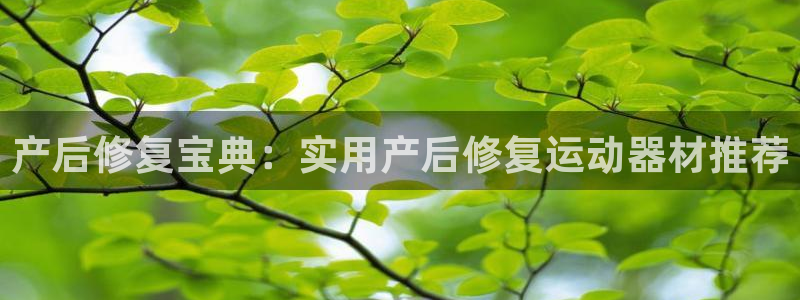 凯捷体育集团官网网址：产后修复宝典：实用产后修复运动器材推荐